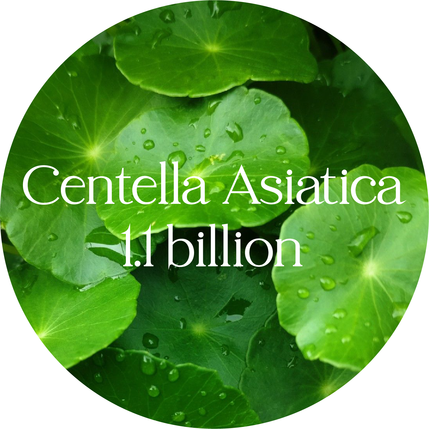 11f6a7eb7058145a81802095cb16ed37cbda0a07