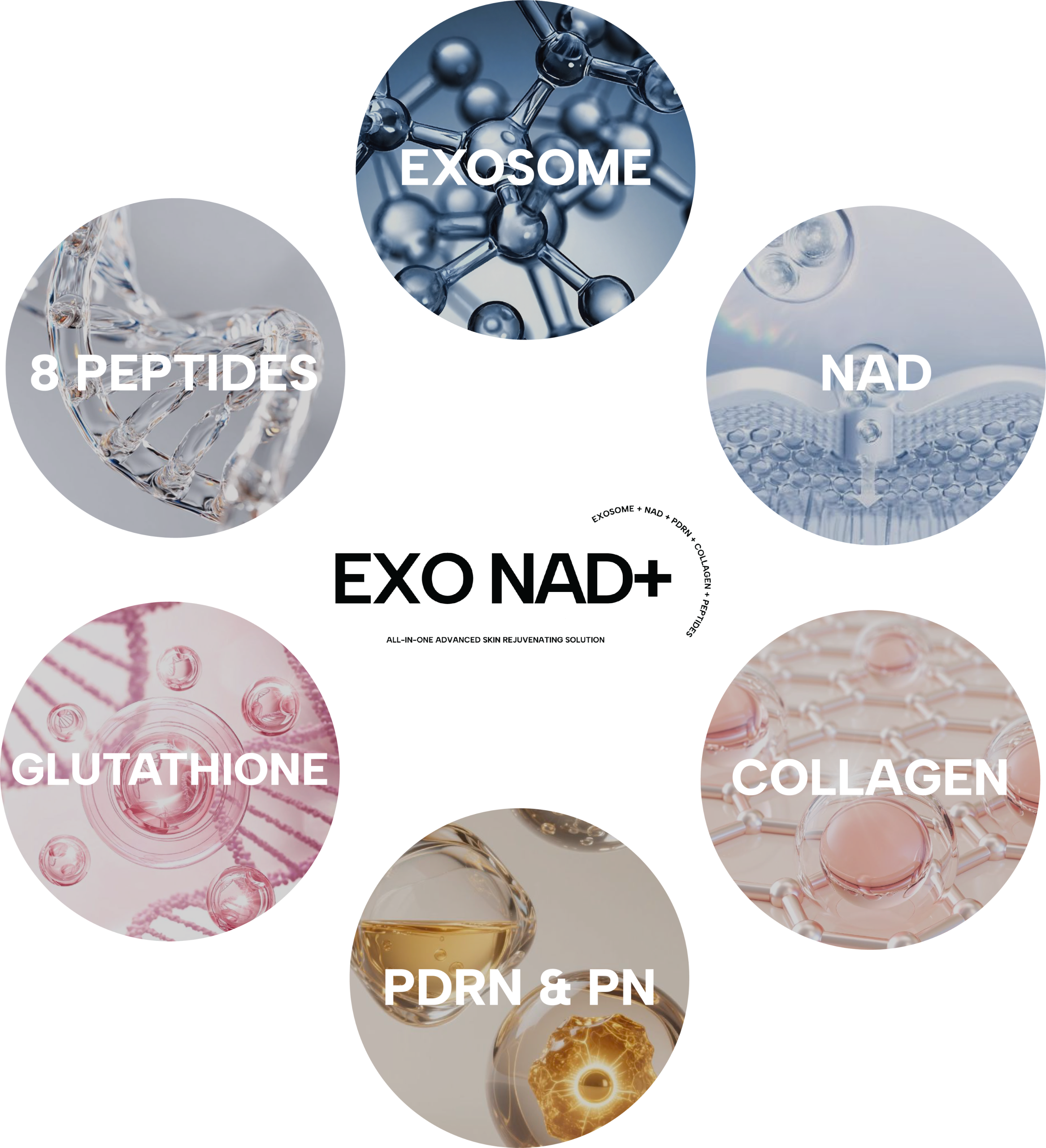 560ea21205d1e901fd822da08d7afae922d91fdc