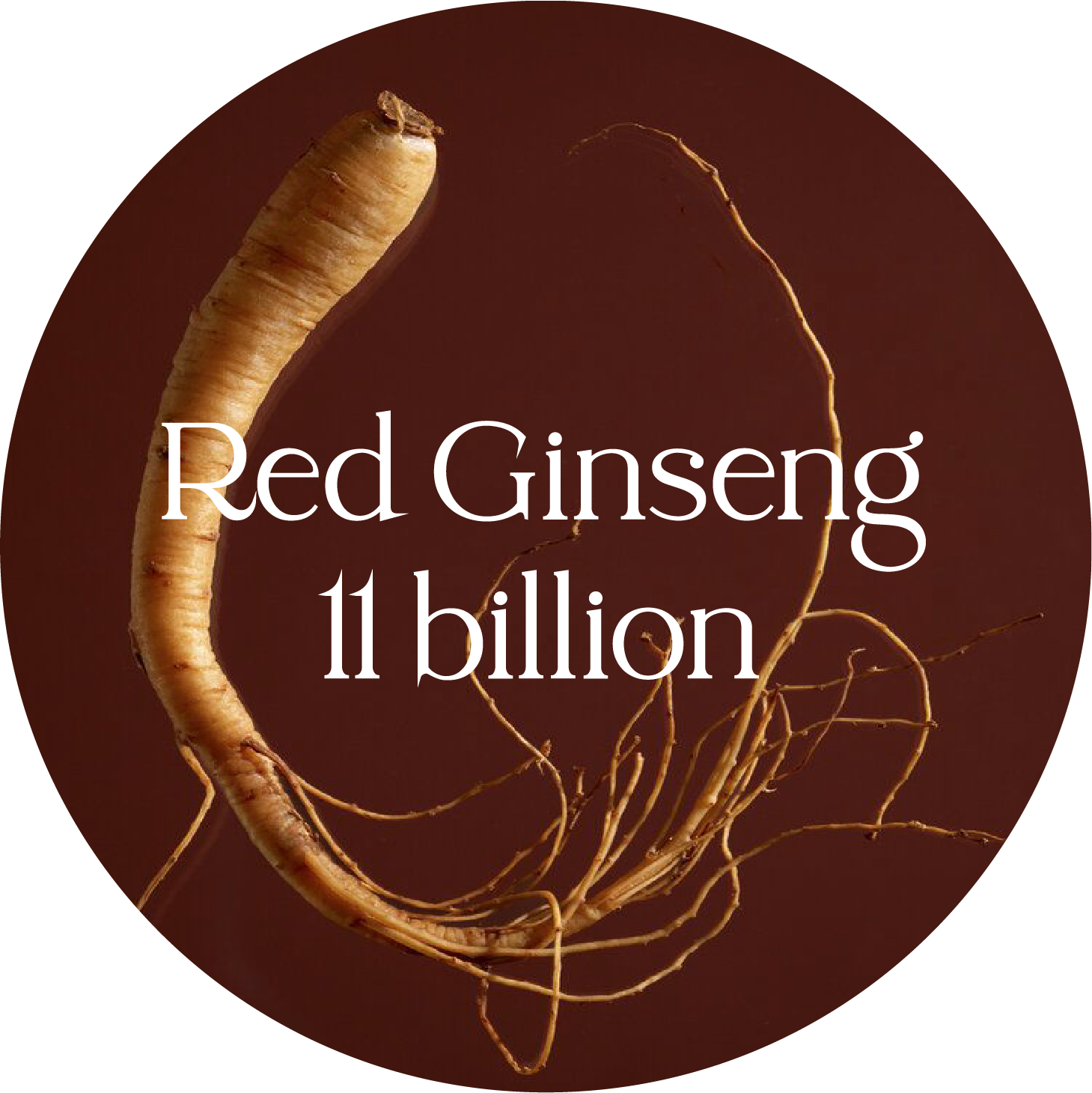 9528525b29e656a9fa24656fbff24124c25a2f33